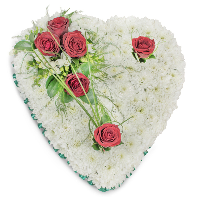 This heart-shaped sympathy wreath is composed entirely of compact, pure white chrysanthemums whose tightly packed blooms form a pillowy, uniform surface that reads as both delicate and resilient. A concentrated cluster of three deep red roses is placed on the upper left quadrant - their velvety petals opened wide - and are embraced by rich green foliage: broad, glossy leaves, airy fern-like fronds and ornamental bear grass blades that arch outward like gentle calligraphy. Small white filler blooms peek in among the foliage, offering subtle highlights against the darker greens. Two additional red roses are positioned separately - one tucked near the upper right curve of the heart and the other near the lower point - each accompanied by minimal greenery to accentuate solitude and remembrance. The entire perimeter is finished with a slim band of emerald satin ribbon, defining the silhouette with an elegant, sombre trim. Overhead lighting reveals the tactile contrast between the chrysanthemum cushion and the satin-sheen of rose petals, casting soft shadows that give the piece a measured three-dimensional quality even against the plain white background. The arrangement's combination of pristine white and vivid crimson is intentionally classical and dignified, designed to convey respect, love and consolation. Presented with the calm expertise of a neighbourhood florist, this piece would be appropriate for funeral services in Bracknell or a tribute at a chapel in nearby Binfield or Easthampstead, offering families a composed, heartfelt way to honour someone dearly missed.