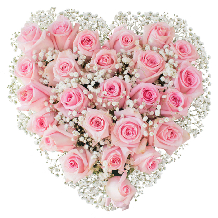 This meticulously crafted heart of flowers reads like a handwritten love letter in blooms: a compact, symmetrical heart composed predominantly of soft, pastel pink roses - roughly two to three dozen carefully selected stems - each positioned to create a plush, velvety surface punctuated by the subtle interplay of buds and open blossoms. The roses' petals range from nearly white blushes at their edges to slightly deeper rosy centers, and are thoughtfully contrasted by innumerable tiny white gypsophila (baby's breath) sprigs that breathe lightness into the design, forming delicate clouds that define the heart's outline against a flawless white backdrop. The lighting is clean and bright, revealing the satin texture of the petals, the fine veining on each bloom, and the faint, cool shadows where flowers nestle together - details that speak to both freshness and attentive floral technique. Prepared with the kind of care local customers expect across Bracknell - from South Hill Park gallery occasions to family gatherings near the Mill Pond - this arrangement conveys devotion, tenderness, and refined sympathy, depending on the sentiment intended. The overall impression is one of quiet sophistication and heartfelt intention: a bouquet that reads as both a romantic gesture and an elegant, comforting presence. Made by an experienced florist familiar with the rhythms of Bracknell life, it speaks to moments that require grace - anniversaries, proposals, intimate weddings, or sincere condolences - while its pure visual clarity ensures every soft pink and tiny white blossom is clearly legible to the eye.