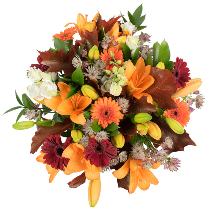 A generously dense, hand-tied autumn bouquet photographed from a slightly elevated viewpoint that highlights its abundant textures and seasonal palette, created by an experienced Bracknell florist. Several prominent orange Asiatic lilies take centre stage-large, open-faced and satiny-surrounded by many compact lily buds in fresh greens and soft apricot that suggest a bouquet still unfolding. Scattered between them are cheerful Gerbera daisies in bright orange and a deep burgundy-red, each with a distinct dark eye that gives the arrangement a lively, rustic charm. Creamy white Lisianthus with layered, frilled petals introduce a soothing, refined contrast, while clusters of muted purple Astrantia add delicate, star-like points and an airy, botanical filigree. Bold, lobed leaves in dark russet and chestnut-evoking oak or maple leaves gathered on a Bracknell woodland path-are woven thoughtfully through the design, complemented by clean green foliage that lifts the warmer tones and provides structural clarity. The bouquet is tightly composed, fresh and lush, with crisp lighting against a white background that intensifies colour saturation and reveals subtle petal veins and the velvet sheen of leaves. Ideal for seasonal decor, a Thanksgiving table, or as a warm gift delivered across The Lexicon and surrounding neighbourhoods, this arrangement balances exuberance with craftsmanship. Readers imagining this bouquet might sense the faint, comforting scent of late-summer blooms and the tactile contrast of smooth petals against crisp, dry leaves-a portrait of the harvest season in floral form, available locally from Flower Delivery Bracknell.