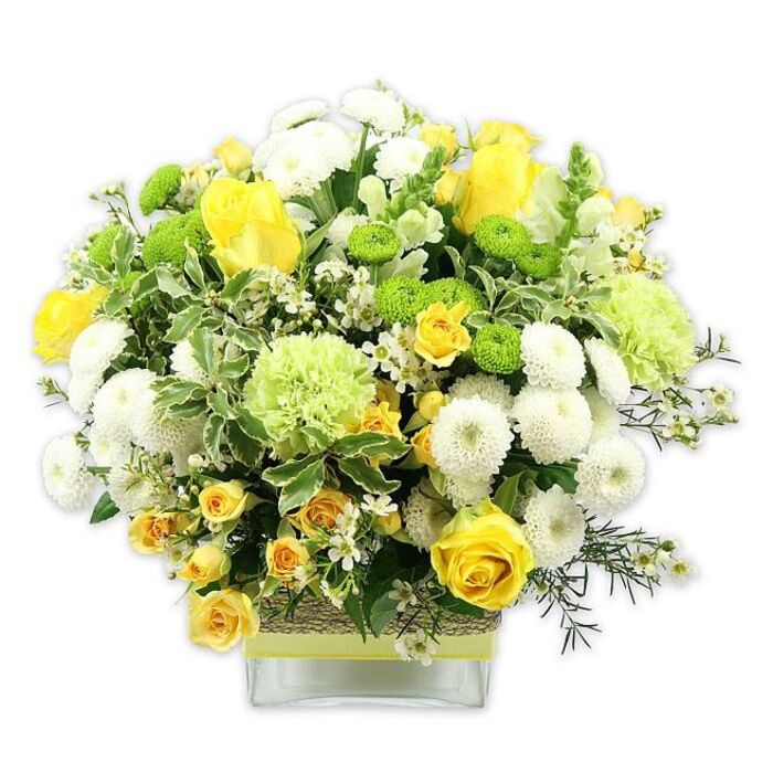 In this image, a stylish, low square glass vase is filled to overflowing with a carefully domed bouquet in a harmonious palette of yellow, white, and green, perfectly lit against a seamless white background. The focal flowers are radiant yellow roses, their velvety petals layered in spirals that draw the eye inward, mingling with clusters of smaller yellow spray roses that bring a charming, almost cottage-garden feel. Between these, white pompom chrysanthemums form dense, rounded cushions, their many tiny petals creating a plush, tactile texture that contrasts beautifully with the smooth rose petals. Bright lime green button chrysanthemums appear as neat, button-like dots of colour, while larger, softly frilled pale green blooms-similar to green carnations or ruffled chrysanthemums-add a sophisticated, contemporary twist. A rich selection of greenery frames and supports the blooms: broad, variegated leaves with pale, creamy edges, deeper green foliage with slender leaves, and airy green sprigs that weave through the bouquet, giving it volume and a sense of natural movement. Small, starry white filler flowers are scattered throughout like points of light, subtly increasing the sense of fullness without overwhelming the main blooms. The vase itself is decorated at its centre with a textured band of rustic material, perhaps bark or woven fibre, overlain with a vivid lime green ribbon that echoes the fresh tones of the flowers. Altogether, the arrangement radiates warmth, optimism, and a polished yet welcoming style, much like a well-kept Bracknell home near the town centre or around Wildridings. It's the kind of cheerful, versatile design a local florist might deliver for birthdays, new home celebrations, or simply to bring a little sunshine to a kitchen table on a grey Berkshire afternoon.