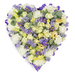 A densely packed heart-shaped floral tribute resting against a clean white studio backdrop, composed of a gentle, sympathetic palette of creams, pale yellows, soft whites and lavender. The shape is precise and plush, the whole perimeter finished with a continuous loop of deep purple satin ribbon that frames the design like a quiet, comforting border. At the heart of the piece are many tightly furled cream and pale yellow roses, some with a whisper of light green at the petal edges, giving a luxurious, layered texture that reads both tender and restrained. Interspersed among the roses are clouds of ruffled white carnations, their frilly petals softening the geometry and lending a classic, consoling presence. Sprays of delicate lavender statice and small, vivid purple aster-like blooms with bright yellow centers run through the composition as lively punctuation: they provide cool contrast and visual rhythm against the paler tones. Rounded, blue-green eucalyptus leaves are scattered throughout, their silvery sheen and rounded shape breaking the floral density and suggesting a cool, subtle scent one might notice when leaning in. The lighting is soft and even, emphasizing petal texture and the careful layering that gives depth without clutter. This arrangement reads as a respectful and serene memorial piece-appropriate for funeral services, a graveside tribute, or a condolence gift-and carries an emotional message of enduring love and peaceful remembrance. As a florist from Bracknell I picture this composed for families gathering at South Hill Park or the local crematorium, a measured expression of comfort and devotion in a moment of farewell.