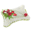 A solemn, meticulously crafted rectangular sympathy pillow formed from hundreds of small, pristine white chrysanthemums, their tight, cloud-like heads packed to create a softly contoured surface that suggests peace and rest. Around the slightly raised edges a pale lime-green satin ribbon peeks out, tracing a gentle frame against the snowy blooms and lending a restrained, finished edge. On the upper left corner an artful spray of deep crimson blooms - rich, velvety red roses and frilled burgundy carnations - gathers like a quiet, heartfelt cluster, punctuated by smaller creamy-white freesias or lisianthus that add a whisper of brightness. Lush green foliage, from feathery fern fronds to fuller glossy leaves, sits behind the flowers and gives depth and a living backdrop, while slim, bright green bear-grass strands sweep in elegant arcs across the chrysanthemum field. These graceful green lines lead the eye diagonally toward the lower right, where a single, perfectly formed red rose rests as the visual and symbolic focal point, suggesting enduring love and remembrance. The overall texture reads soft and velvety to the mind, with a faint, clean fragrance of chrysanthemum and rose that feels appropriate for a quiet setting. This pillow is composed with the restraint and care of a florist who understands both craft and compassion - a piece often chosen for memorial tables or funeral services in and around Bracknell, near The Lexicon or South Hill Park - its balanced white and red palette offering a timeless expression of sympathy and honour for a beloved life.