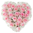 A dense, heart-shaped floral composition made almost entirely of soft pastel pink roses, each bloom crowded close to its neighbour to form a plush, velvety surface that fills the frame. Against a pristine white backdrop, the subtle range of pinks - from a whisper of blush at the outer petals to a warmer rose tone at the centre of some flowers - reads like a careful gradient, while a few buds remain tightly furled beside gently opening blooms that reveal spirals of delicate petals. Scattered throughout and haloing the edges are clouds of tiny white gypsophila, commonly called baby's breath, their minute star-like flowers providing an airy, lace-like contrast that sharpens the heart silhouette and lends an ethereal lightness to the overall weight of roses. Soft studio lighting brings out the satiny sheen of each petal, the faint ridges where they overlap, and the cool shadows between roses, suggesting the faint, sweet scent that seems to hover just above the surface. The arrangement's symmetry is precise but feels handcrafted - the result of careful placement and a florist's eye for balance - evoking intimacy, devotion, and quiet tenderness. Visually, this bouquet reads as a classic declaration of love or a solemn, graceful tribute; it suits anniversaries, heartfelt apologies, weddings, or gentle memorial moments. A viewer can almost feel the texture of the petals under their fingertips and the fragile, airy tickle of the gypsophila, a tactile reminder of both fragility and lasting affection, set against the clean simplicity of the white background that allows every pink nuance and tiny white blossom to stand out.